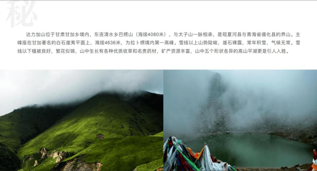 “牛油果王子”藏在果林里的“致富经”